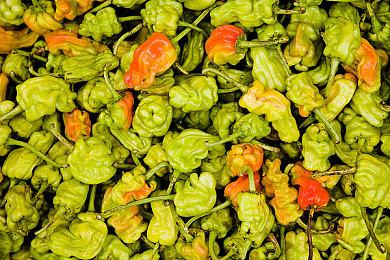 《星露谷物语》销量现已突破3000万 1.6版本3月19日上线